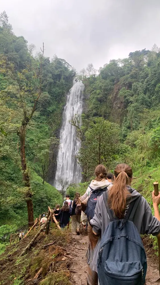Kilimanjaro scenery near Moshi