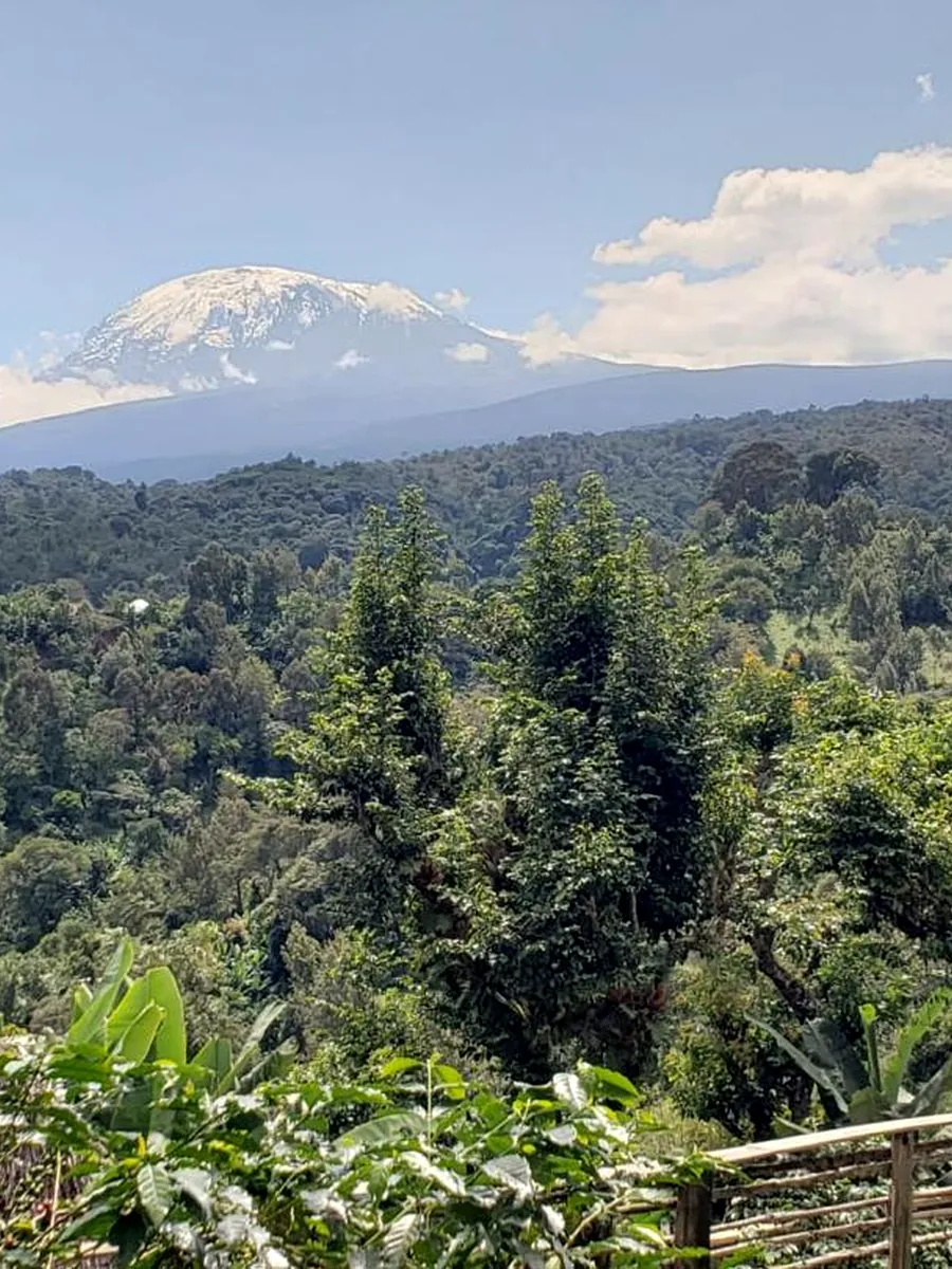 Mount Kilimanjaro day trip